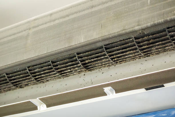 Best HVAC Air Duct Cleaning  in Lakeland Highlands, FL